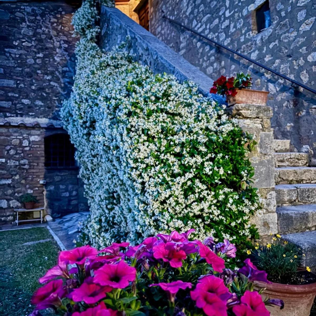 Residenza Santa Maria In Borraccia Bed and Breakfast Magliano in Toscana Eksteriør billede