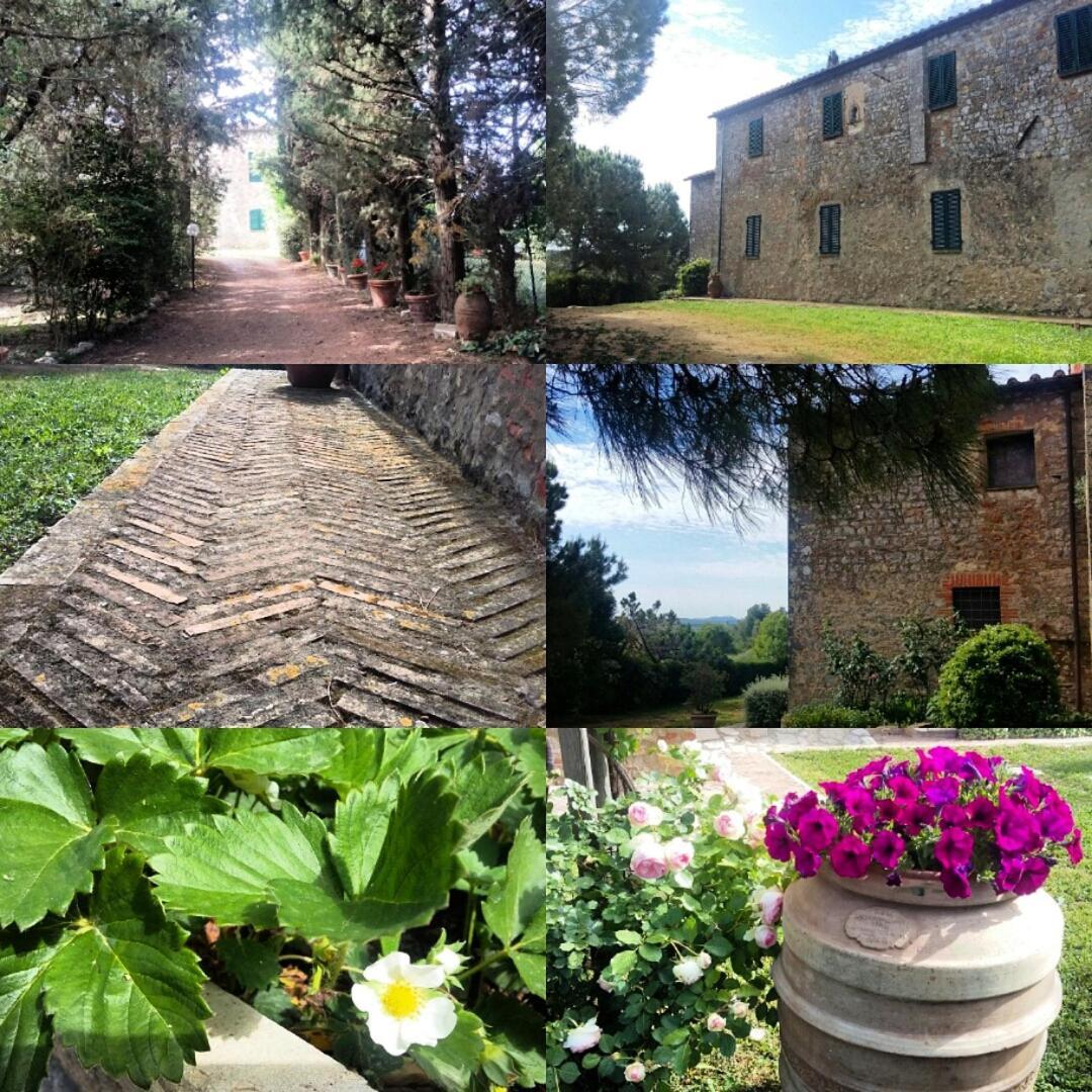 Residenza Santa Maria In Borraccia Bed and Breakfast Magliano in Toscana Eksteriør billede